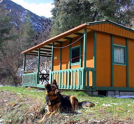 Chalet-Bungalow Ombrage Escaro Exterior photo