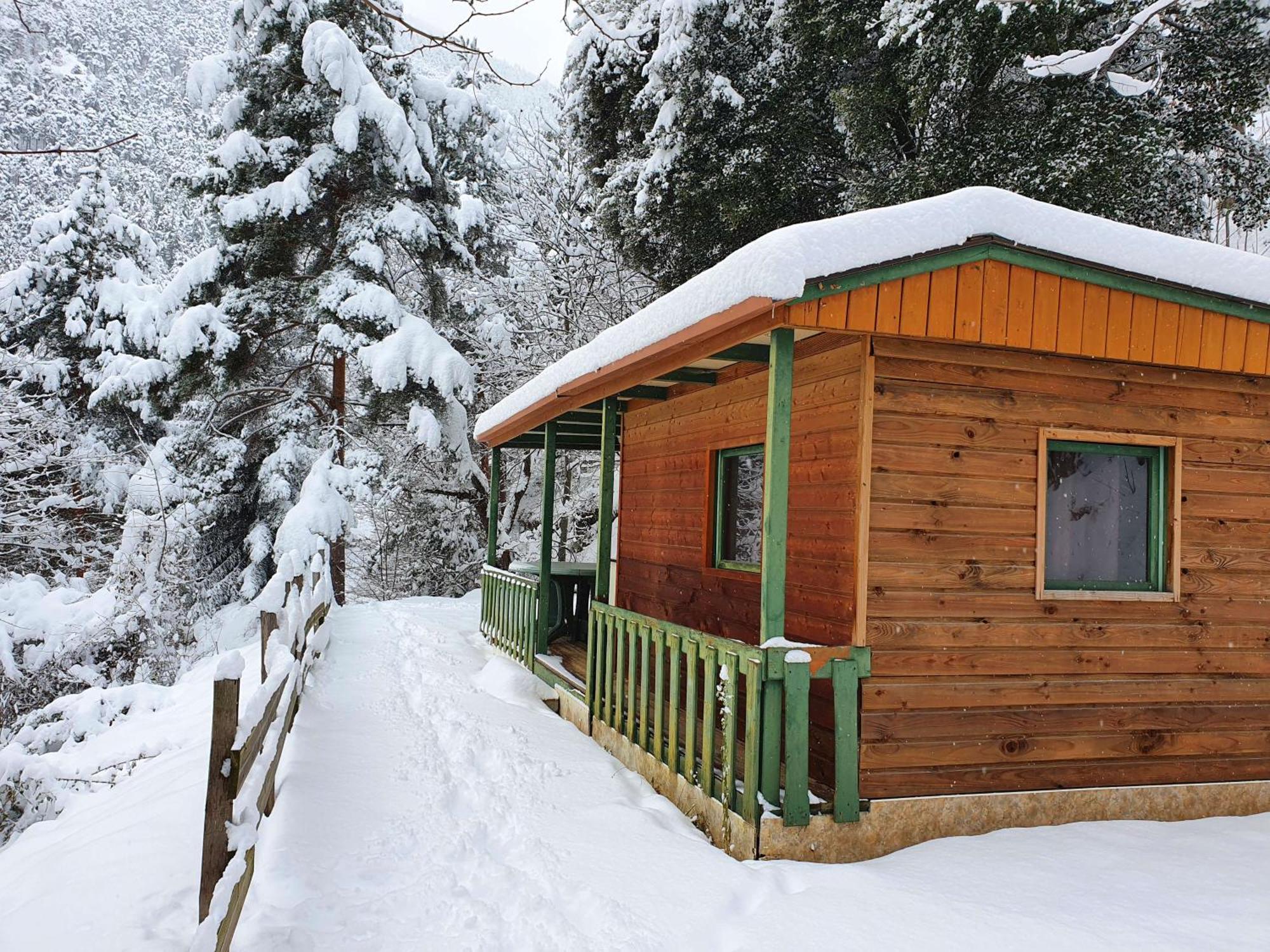 Chalet-Bungalow Ombrage Escaro Exterior photo